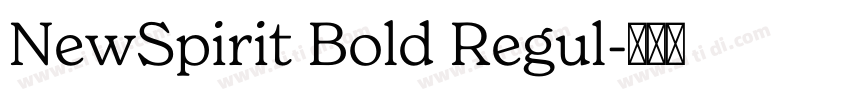 NewSpirit Bold Regul字体转换